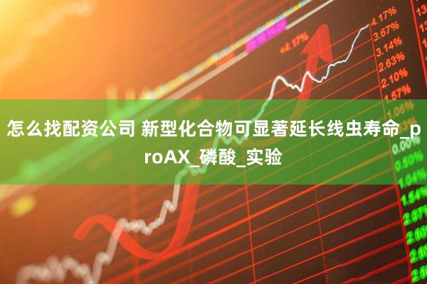 怎么找配资公司 新型化合物可显著延长线虫寿命_proAX_磷酸_实验