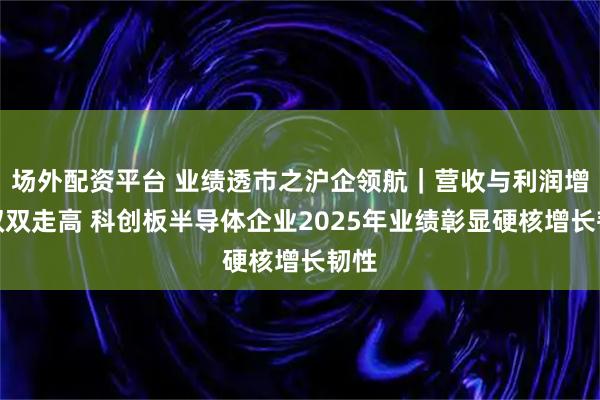 场外配资平台 业绩透市之沪企领航｜营收与利润增速双双走高 科创板半导体企业2025年业绩彰显硬核增长韧性